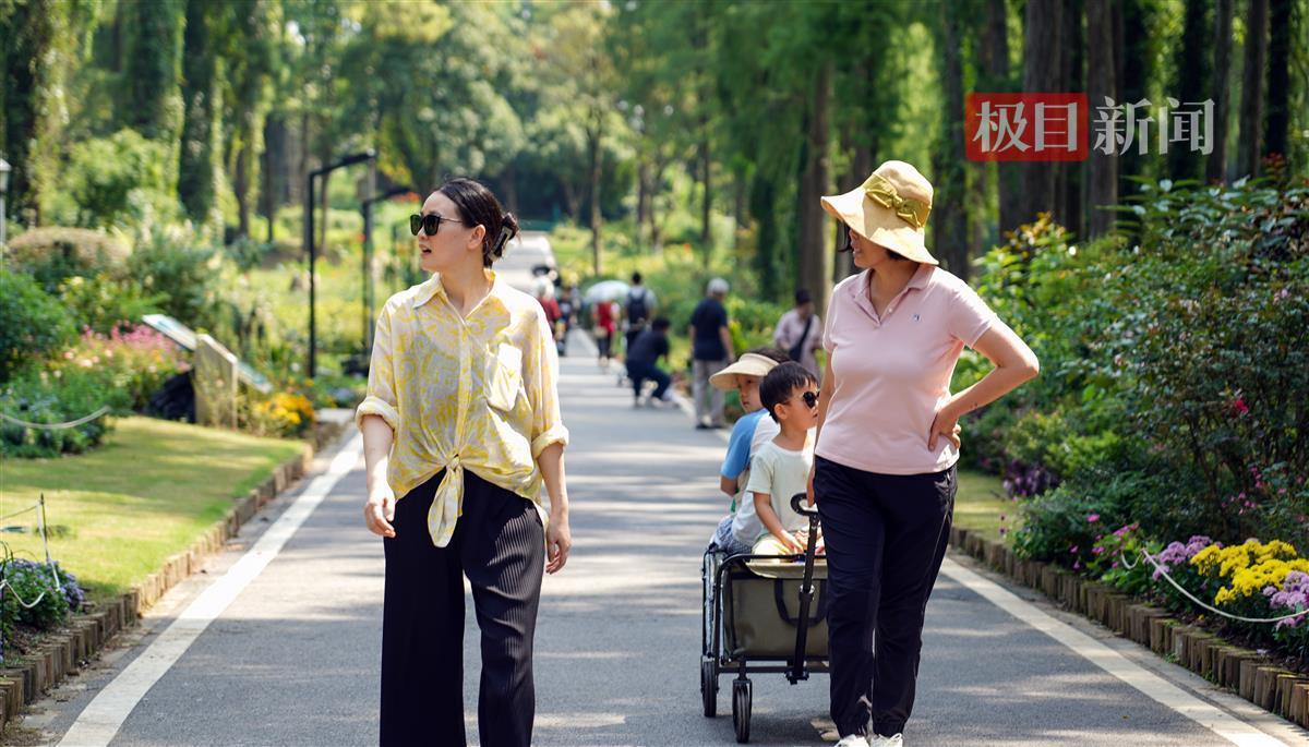街机奔驰宝马